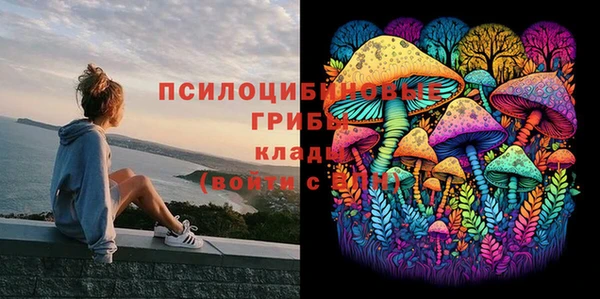 ешки Ступино