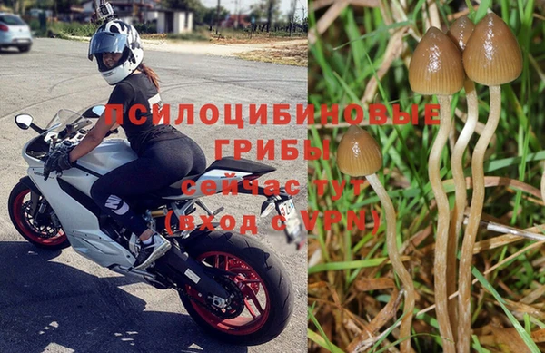 кокаин колумбия Аркадак